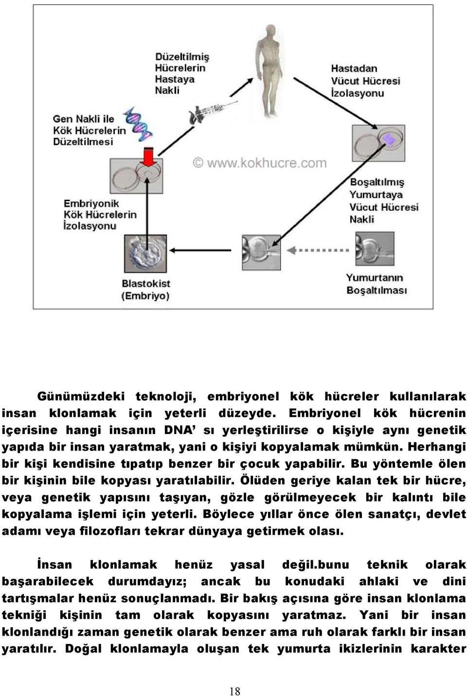 Herhangi bir kişi kendisine tıpatıp benzer bir çocuk yapabilir. Bu yöntemle ölen bir kişinin bile kopyası yaratılabilir.