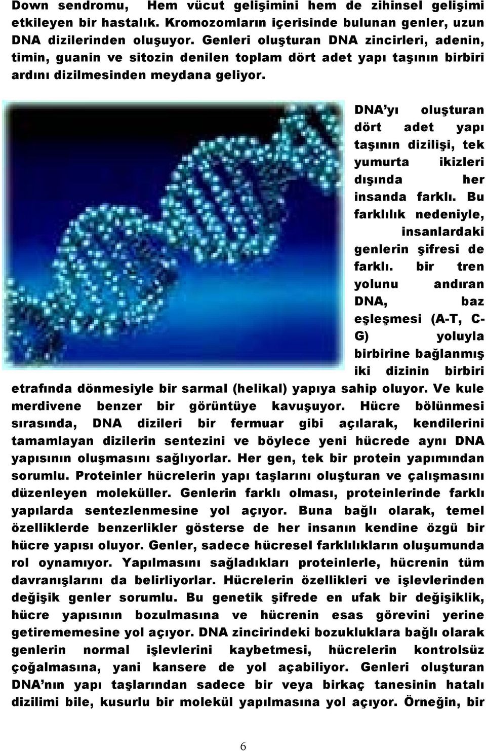 DNA yı oluşturan dört adet yapı taşının dizilişi, tek yumurta ikizleri dışında her insanda farklı. Bu farklılık nedeniyle, insanlardaki genlerin şifresi de farklı.