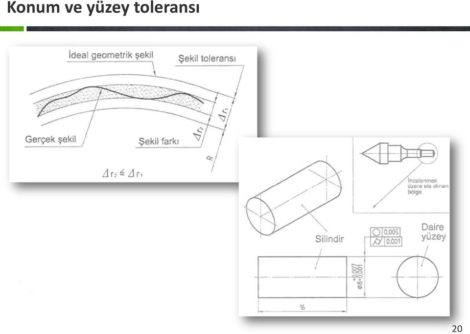 toleransı