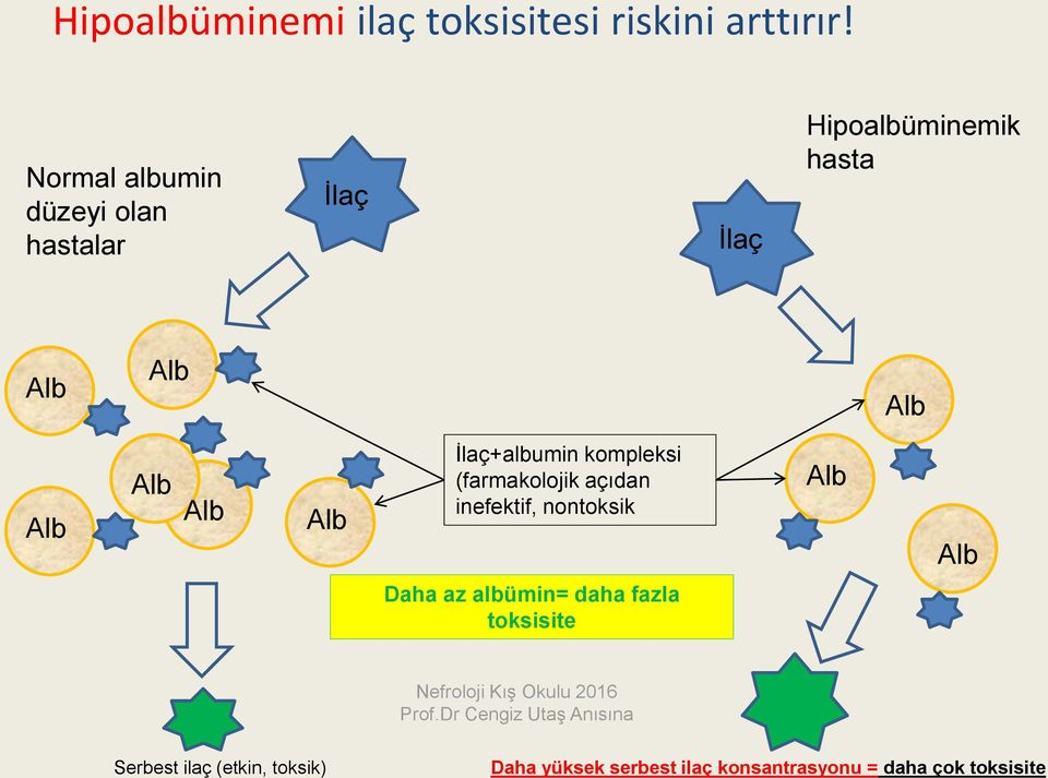 Alb Alb Alb İlaç+albumin kompleksi (farmakolojik açıdan inefektif, nontoksik Alb Alb