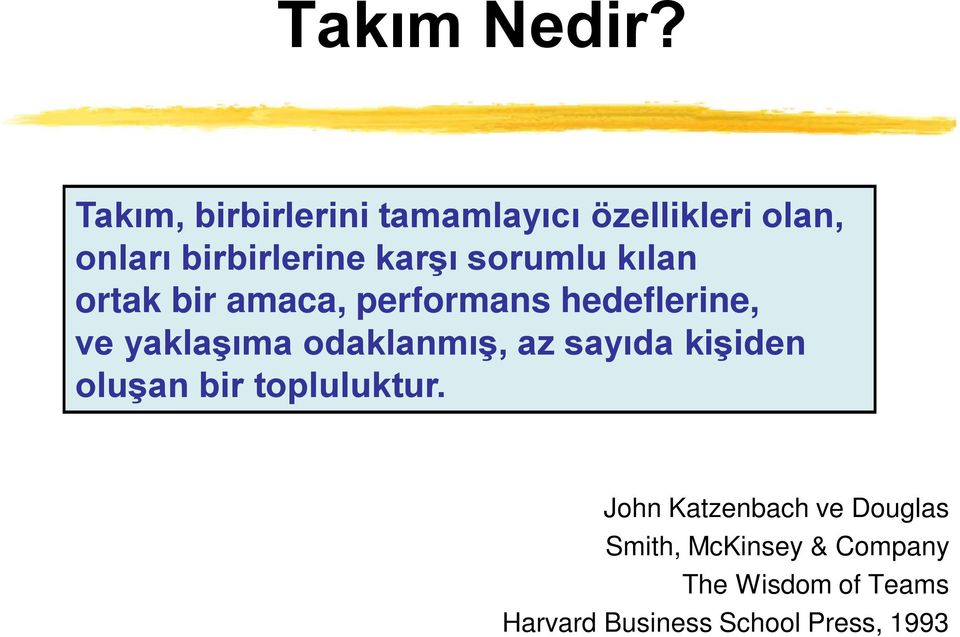 sorumlu kılan ortak bir amaca, performans hedeflerine, ve yaklaşıma odaklanmış,