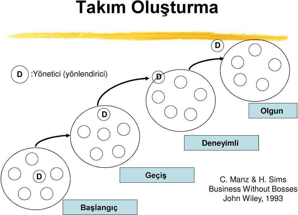 D Başlangıç Geçiş C. Manz & H.