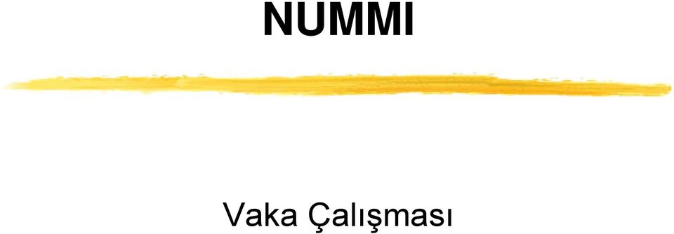 Çalışması