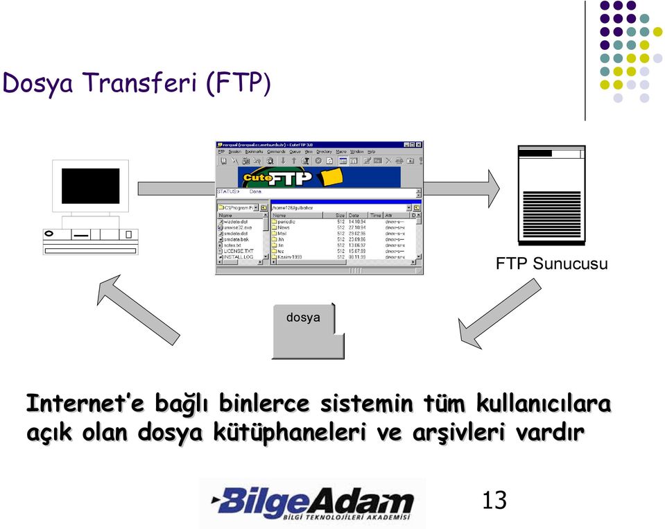 sistemin tüm kullanıcılara açık olan