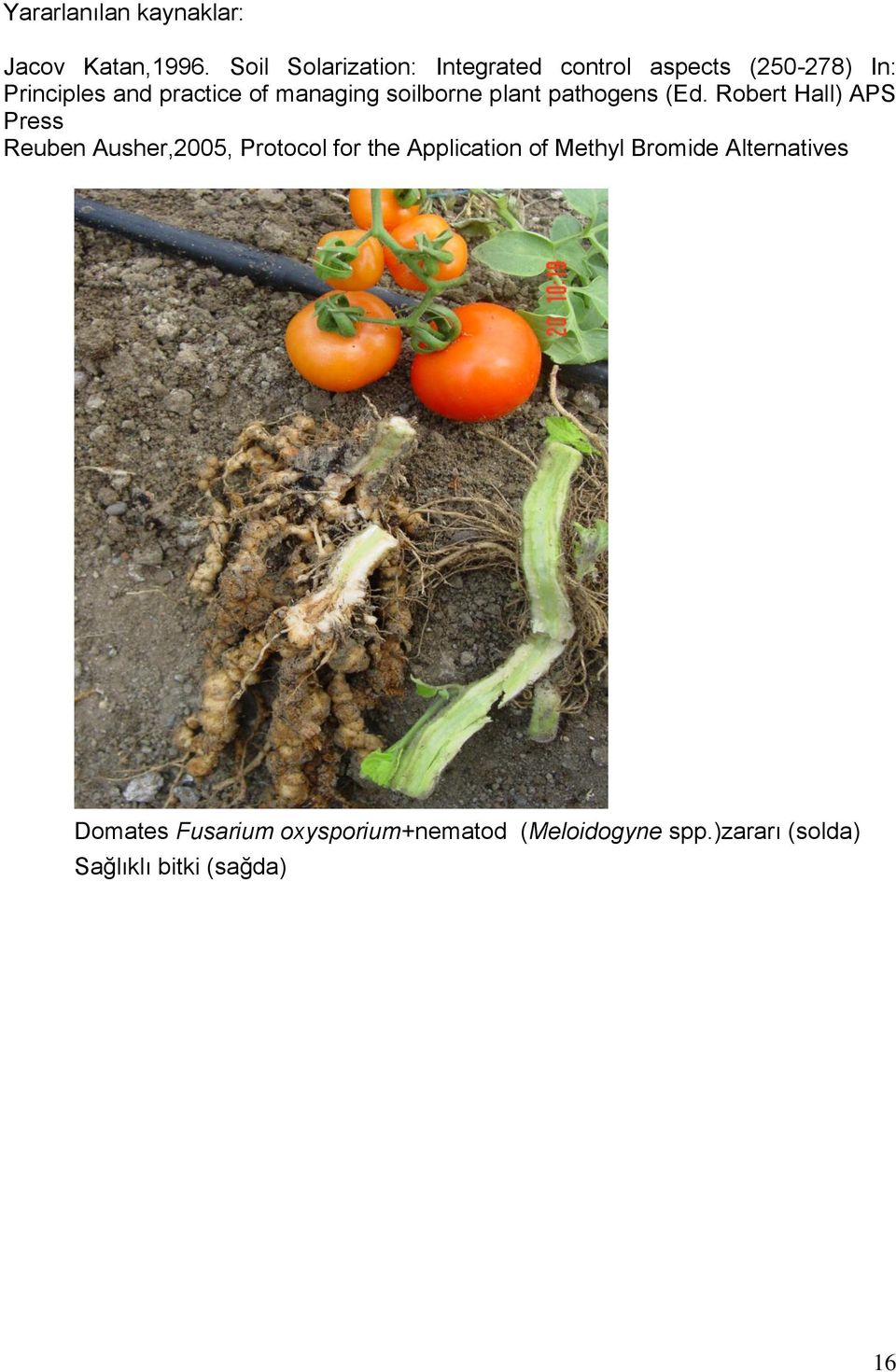 managing soilborne plant pathogens (Ed.
