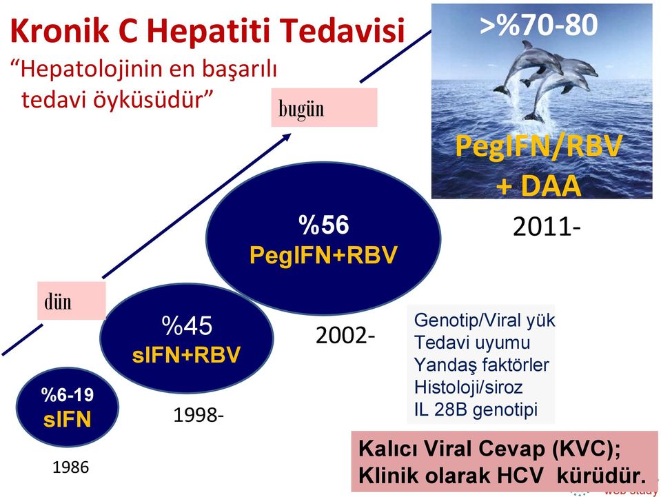 1998-2002- 2011- Genotip/Viral yük Tedavi uyumu Yandaş faktörler