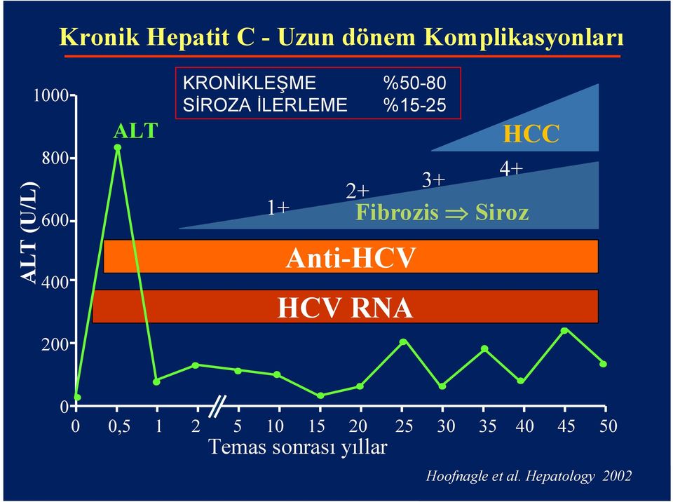4+ Fibrozis Siroz Anti-HCV HCV RNA HCC 0 0 0,5 1 2 5 10 15 20 25