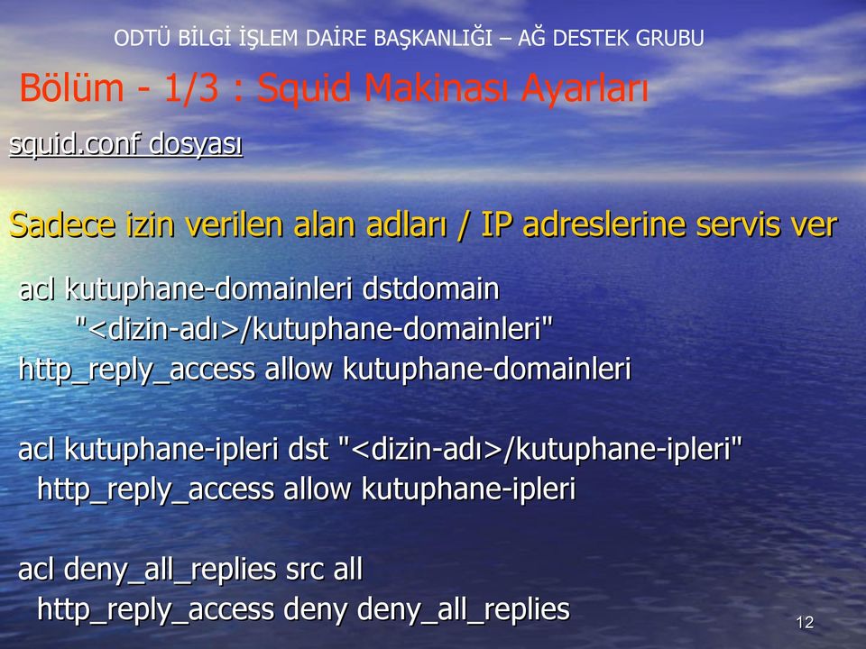 http_reply_access allow kutuphane-domainleri acl kutuphane-ipleri dst