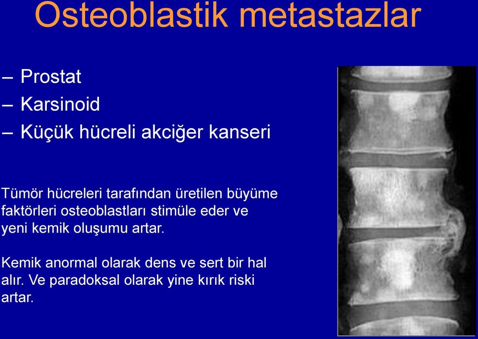 osteoblastları stimüle eder ve yeni kemik oluşumu artar.