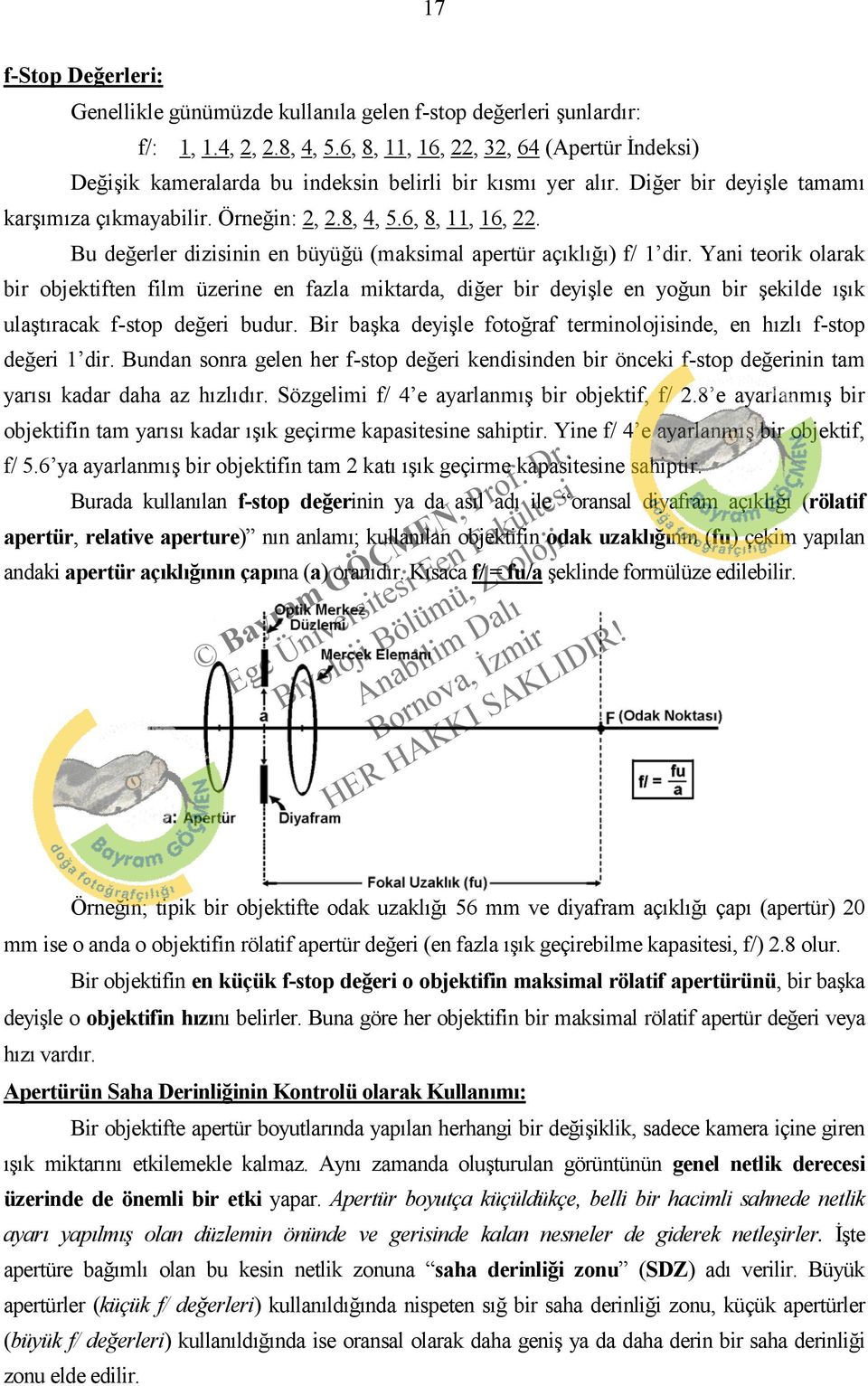 Yani teorik olarak bir objektiften film üzerine en fazla miktarda, diğer bir deyişle en yoğun bir şekilde ışık ulaştıracak f-stop değeri budur.