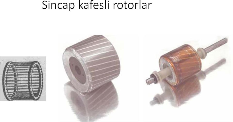 rotorlar