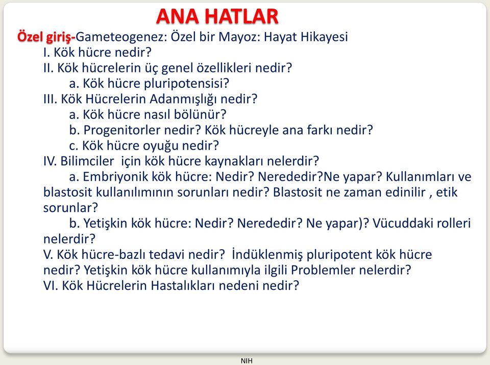 Nerededir?Ne yapar? Kullanımları ve blastosit kullanılımının sorunları nedir? Blastosit ne zaman edinilir, etik sorunlar? b. Yetişkin kök hücre: Nedir? Nerededir? Ne yapar)?