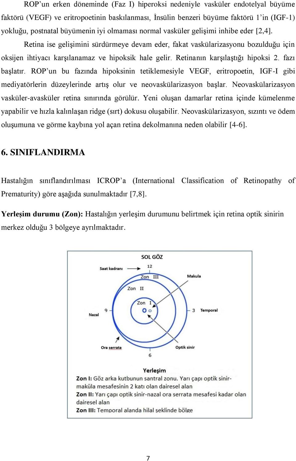 Retinanın karşılaştığı hipoksi 2. fazı başlatır. ROP un bu fazında hipoksinin tetiklemesiyle VEGF, eritropoetin, IGF-I gibi mediyatörlerin düzeylerinde artış olur ve neovaskülarizasyon başlar.