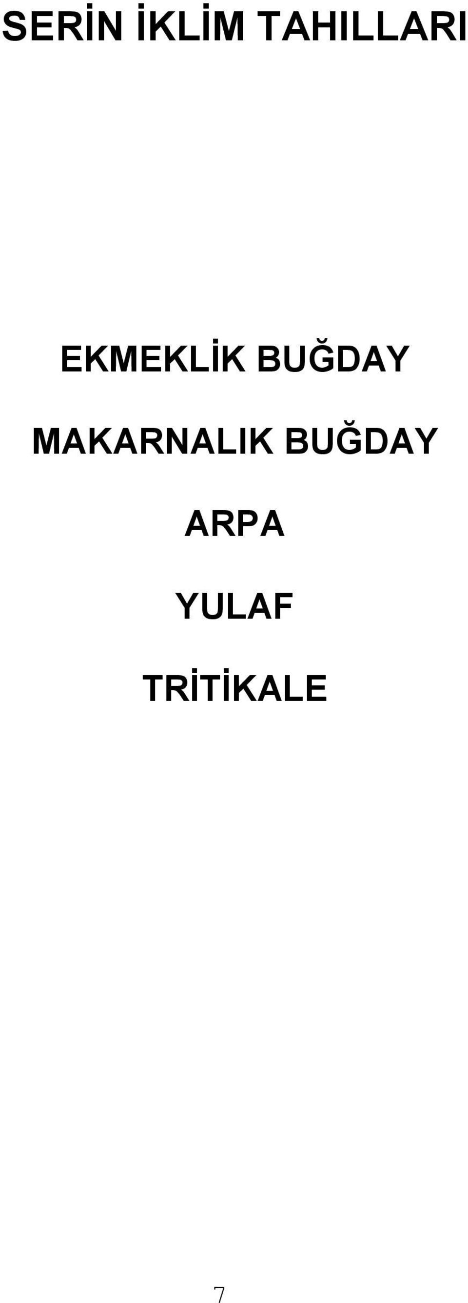 BUĞDAY MAKARNALIK