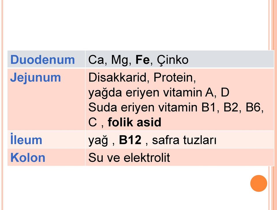 vitamin A, D Suda eriyen vitamin B1, B2, B6,