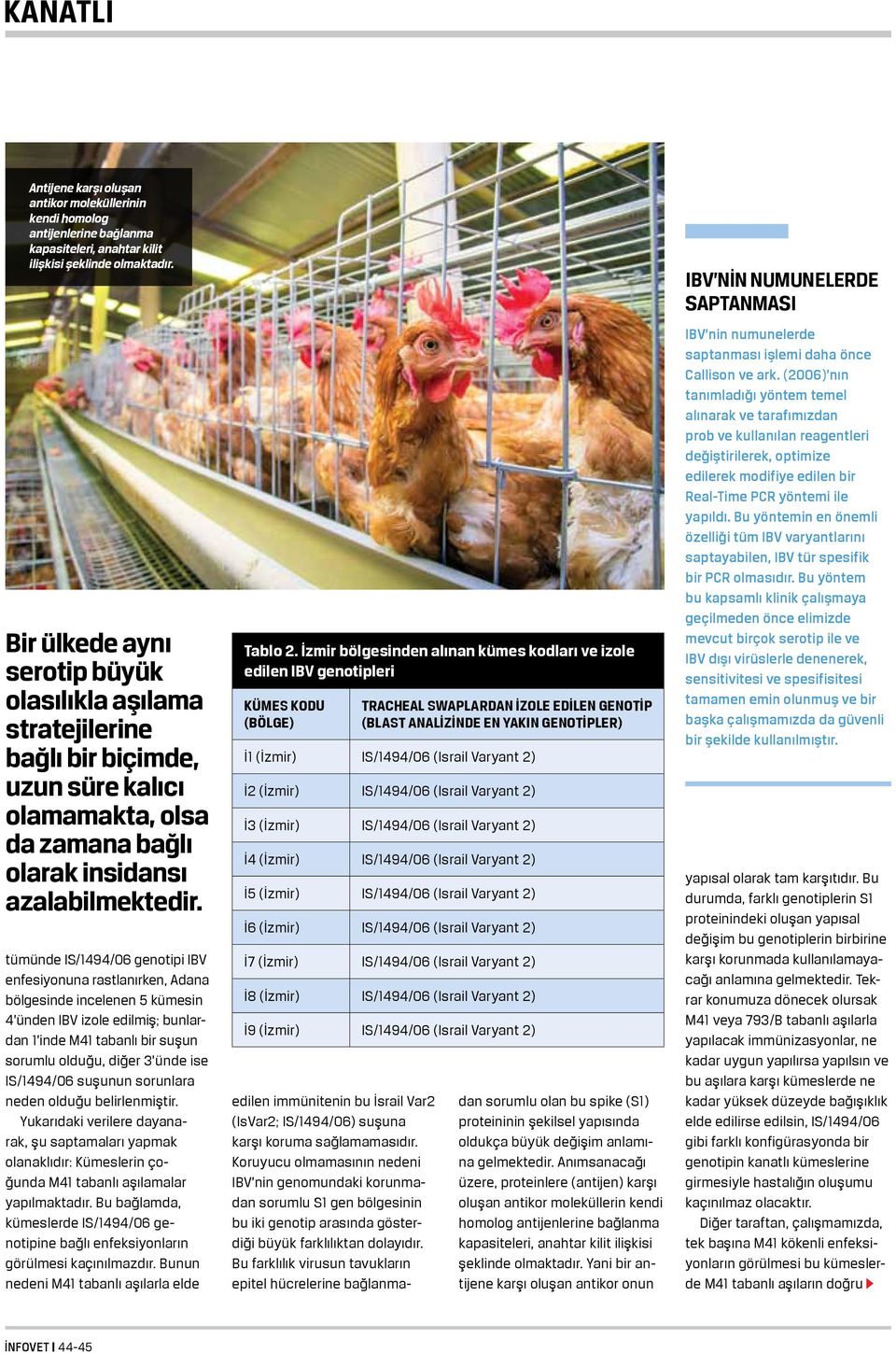 tümünde IS/1494/06 genotipi IBV enfesiyonuna rastlanırken, Adana bölgesinde incelenen 5 kümesin 4 ünden IBV izole edilmiş; bunlardan 1 inde M41 tabanlı bir suşun sorumlu olduğu, diğer 3 ünde ise