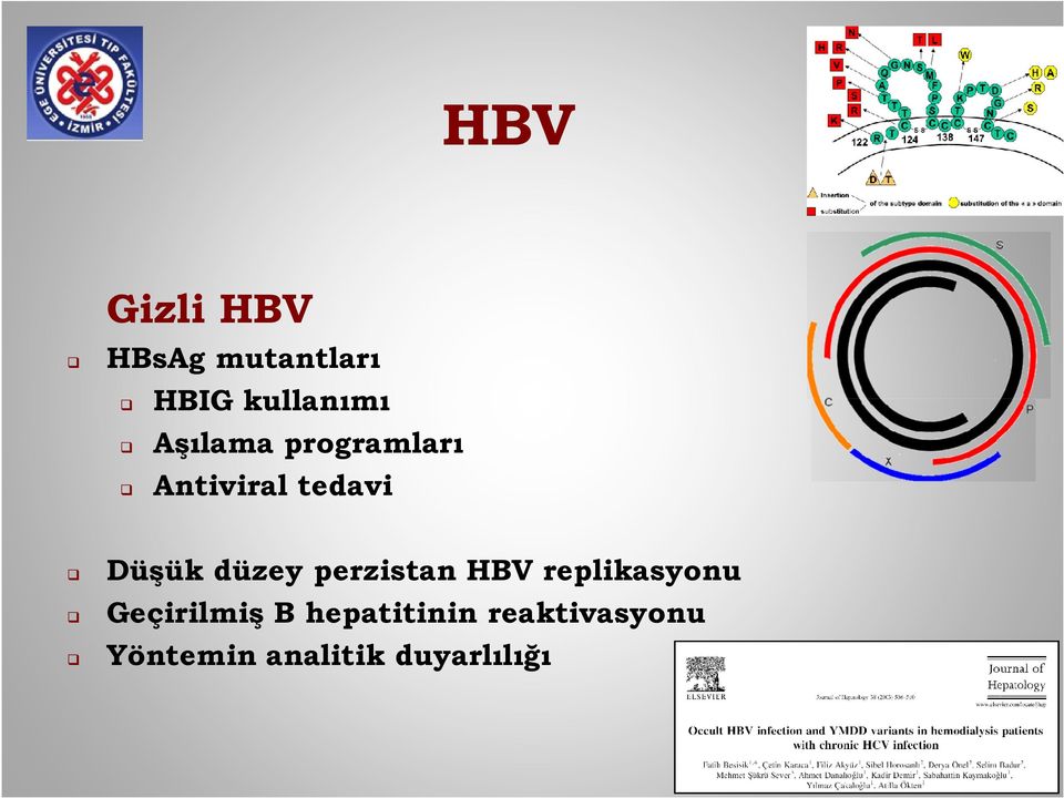 düzey perzistan HBV replikasyonu Geçirilmiş B