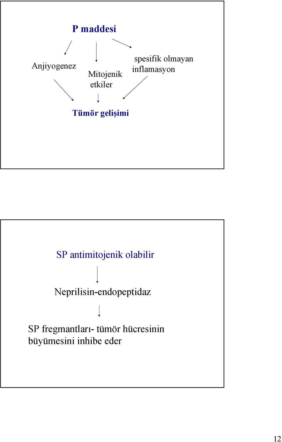 antimitojenik olabilir Neprilisin-endopeptidaz