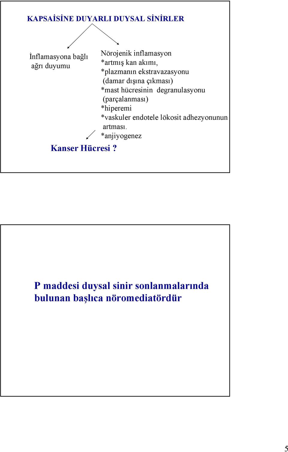 *mast hücresinin degranulasyonu (parçalanması) *hiperemi *vaskuler endotele lökosit