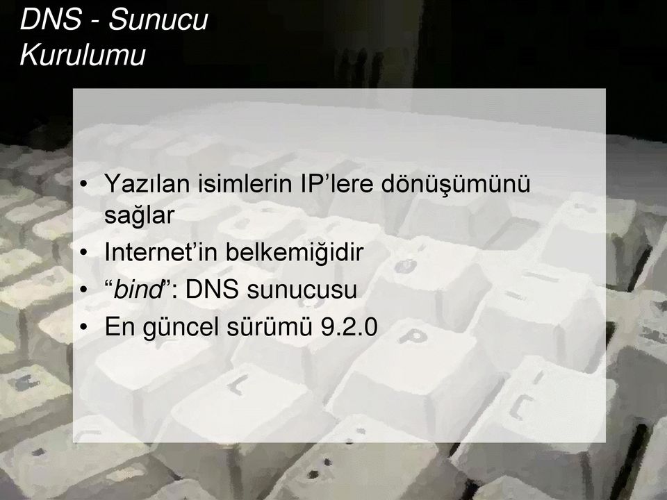 sağlar Internet in belkemiğidir