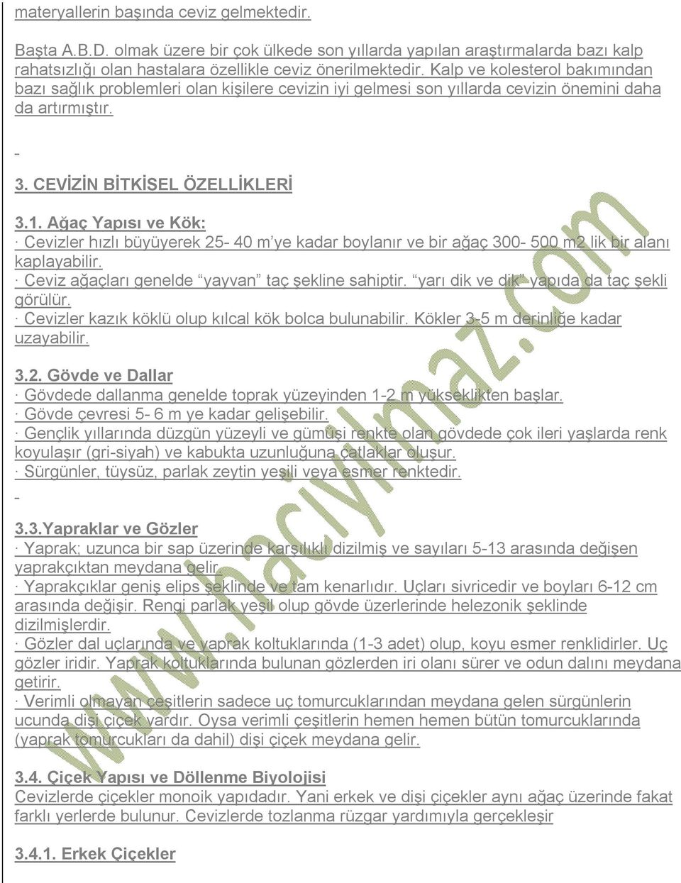 Ağaç Yapısı ve Kök: Cevizler hızlı büyüyerek 25-40 m ye kadar boylanır ve bir ağaç 300-500 m2 lik bir alanı kaplayabilir. Ceviz ağaçları genelde yayvan taç şekline sahiptir.