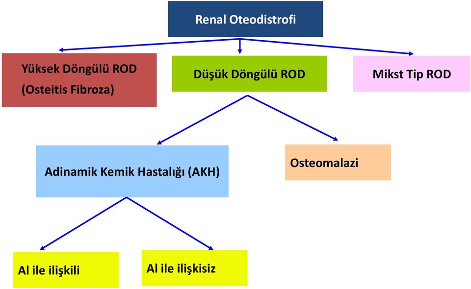 Mikst Tip ROD Adinamik Kemik Hastalığı