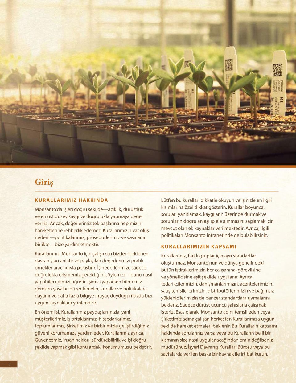 Kurallarımız, Monsanto için çalışırken bizden beklenen davranışları anlatır ve paylaşılan değerlerimizi pratik örnekler aracılığıyla pekiştirir.