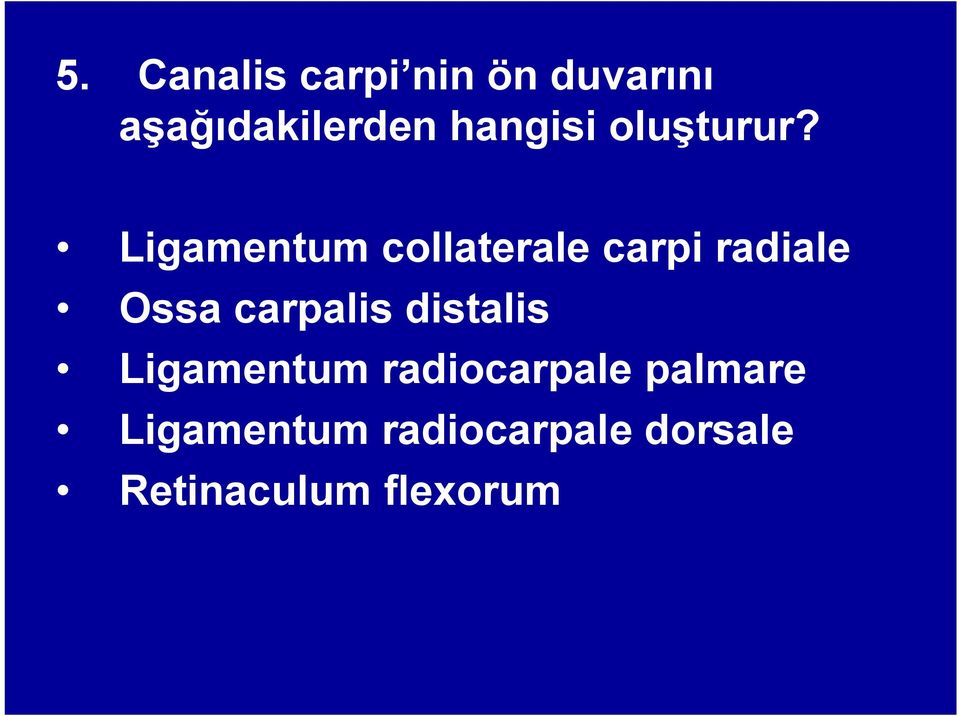 Ligamentum collaterale carpi radiale Ossa carpalis