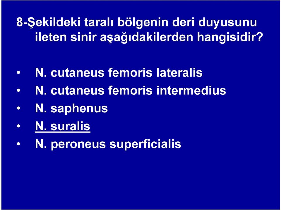 cutaneus femoris lateralis N.