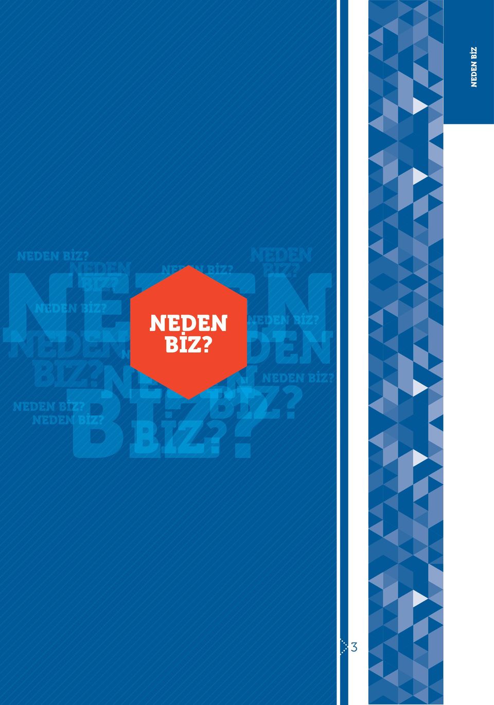 NEDEN BİZ? NEDEN NEDEN  BİZ? BİZ?  3