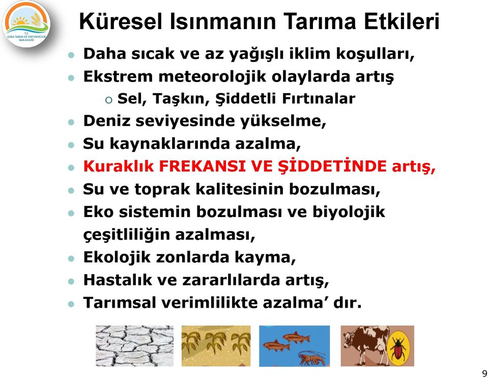 FREKANSI VE ŞİDDETİNDE artış, Su ve toprak kalitesinin bozulması, Eko sistemin bozulması ve biyolojik