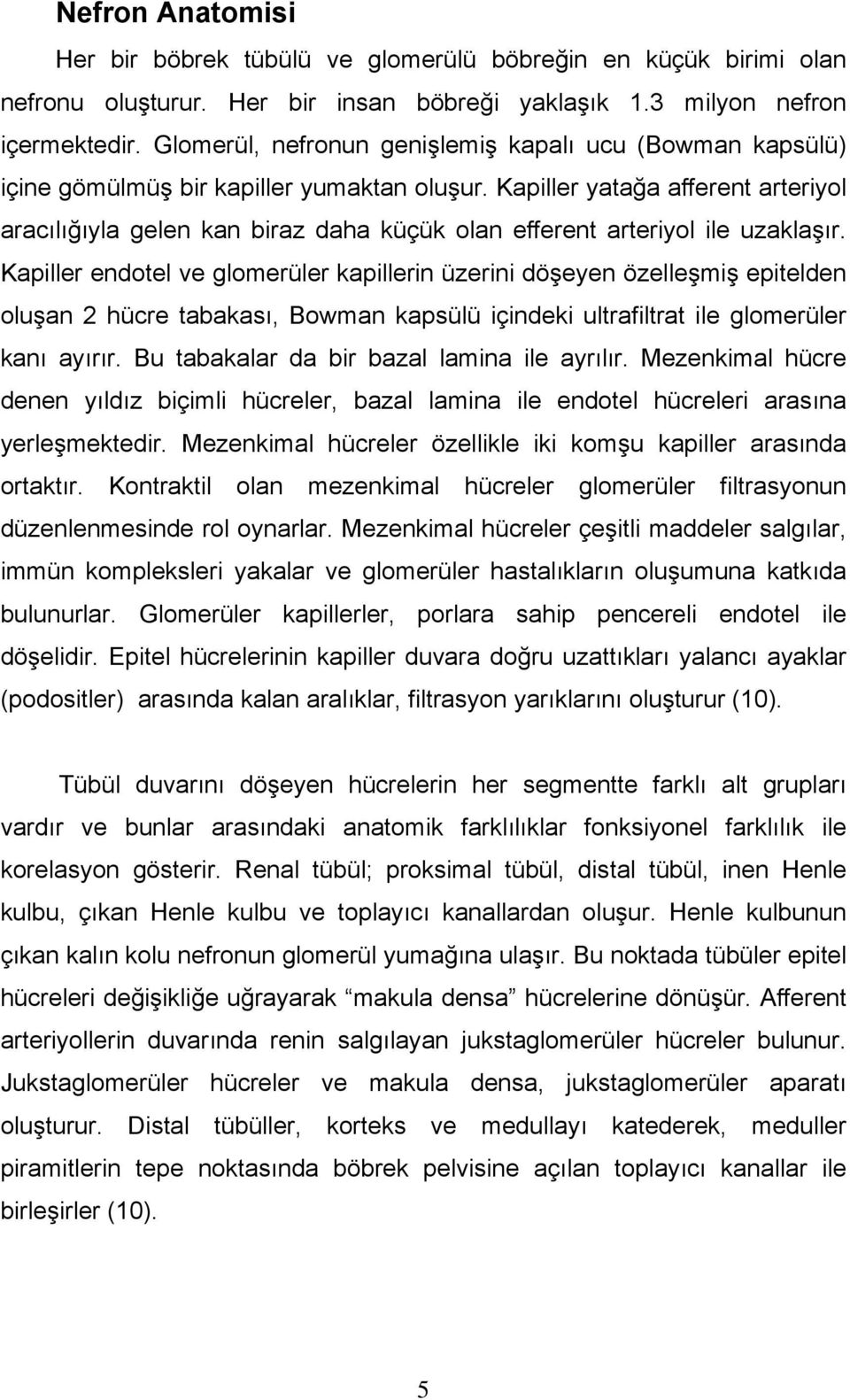 Kapiller yatağa afferent arteriyol aracılığıyla gelen kan biraz daha küçük olan efferent arteriyol ile uzaklaşır.