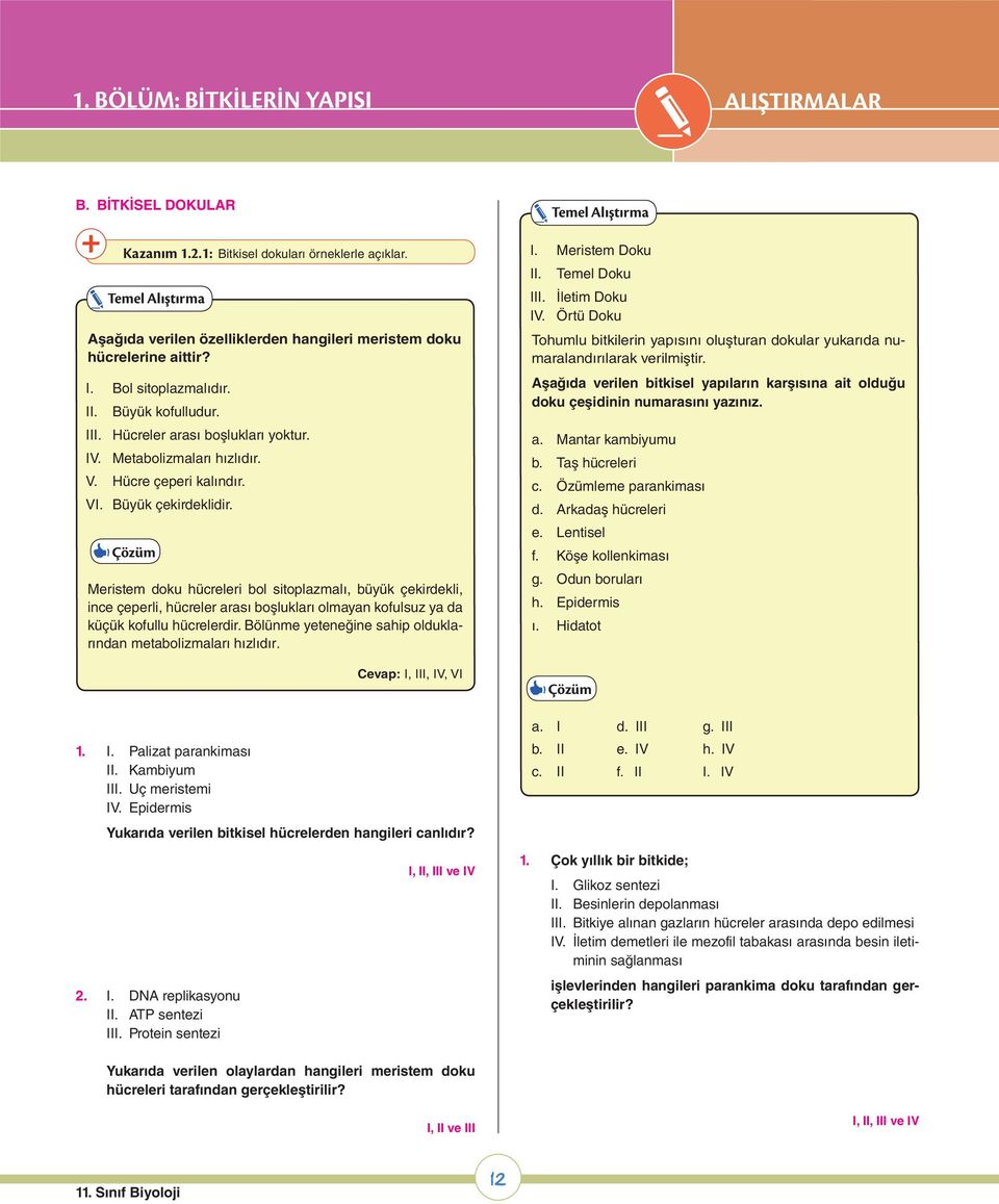 Metabolizmaları hızlıdır. V. Hücre çeperi kalındır. VI. Büyük çekirdeklidir.