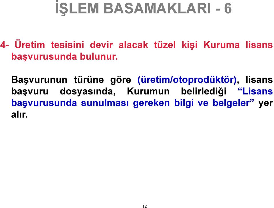 Başvurunun türüne göre (üretim/otoprodüktör), lisans başvuru