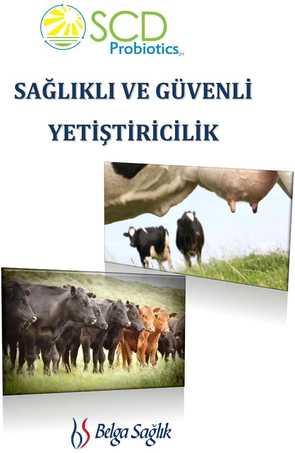 GÜNLİ