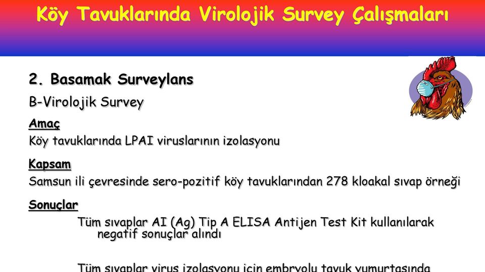 izolasyonu Kapsam Samsun ili çevresinde sero-pozitif köy tavuklarından 278