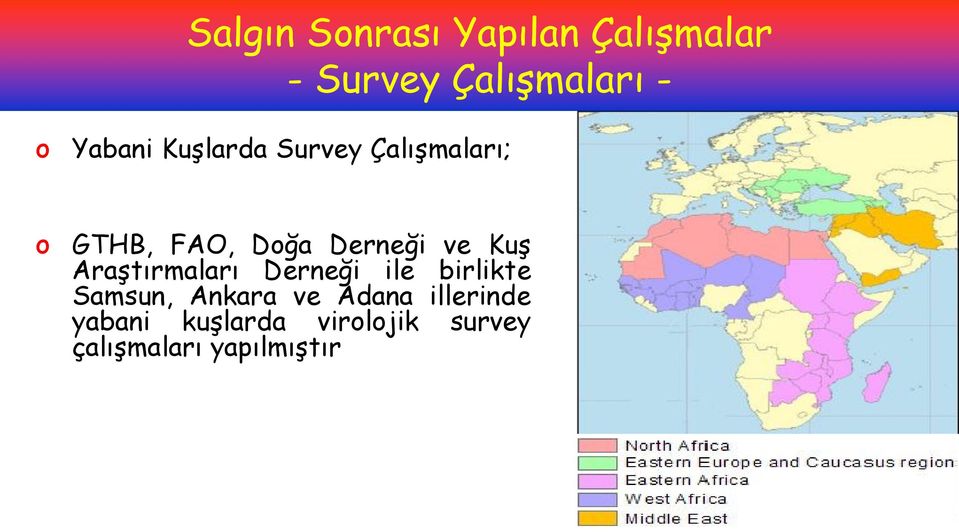 ve Kuş Araştırmaları Derneği ile birlikte Samsun, Ankara ve