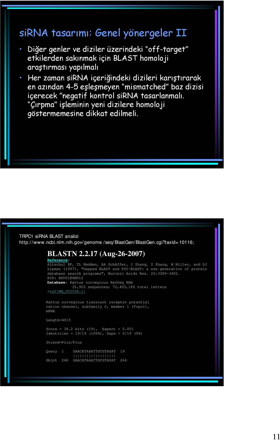 ncbi.nlm.nih.gov/genome /seq/blastgen/blastgen.cgi?taxid=10116; BLASTN 2.