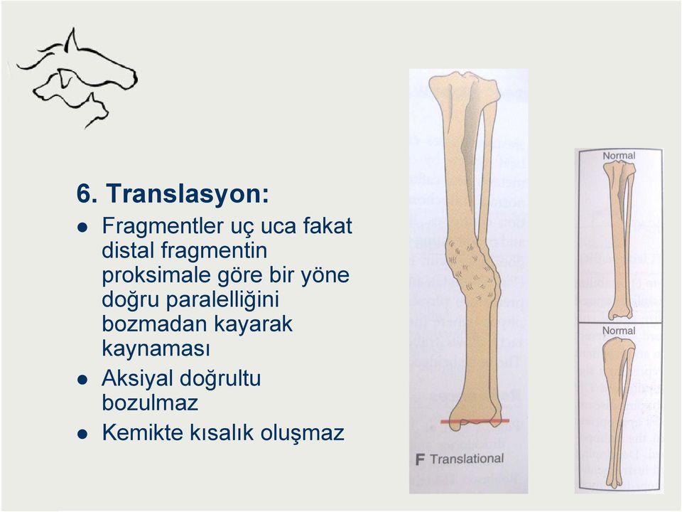 doğru paralelliğini bozmadan kayarak