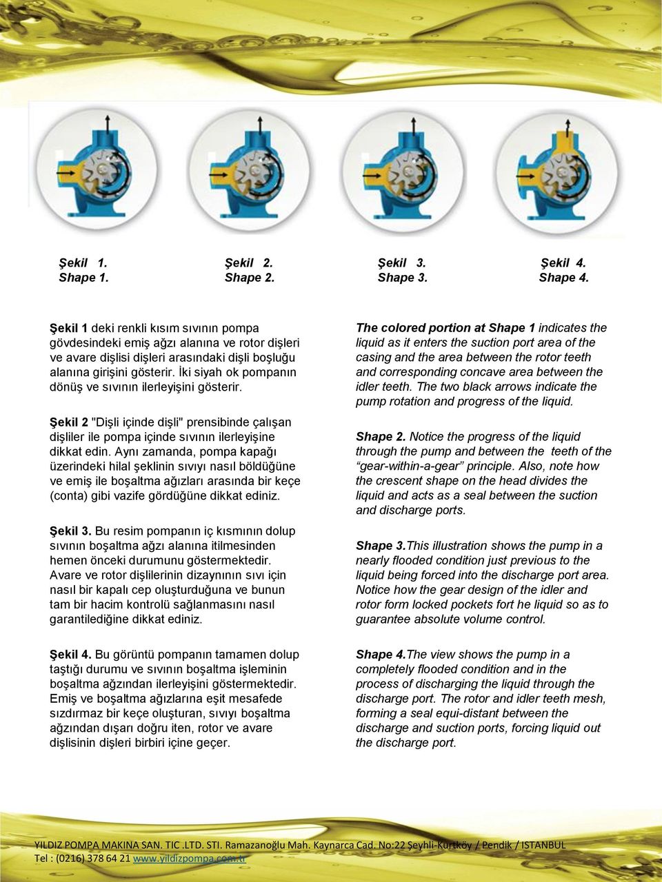 İki siyah ok pompanın dönüş ve sıvının ilerleyişini gösterir. Şekil 2 "Dişli içinde dişli" prensibinde çalışan dişliler ile pompa içinde sıvının ilerleyişine dikkat edin.