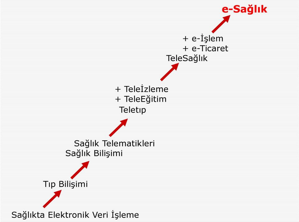 Teletıp Sağlık Telematikleri Sağlık