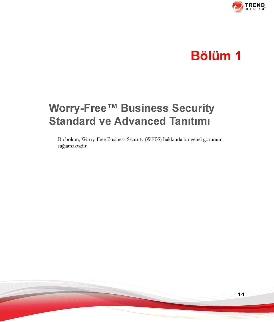 Worry-Free Business Security (WFBS)