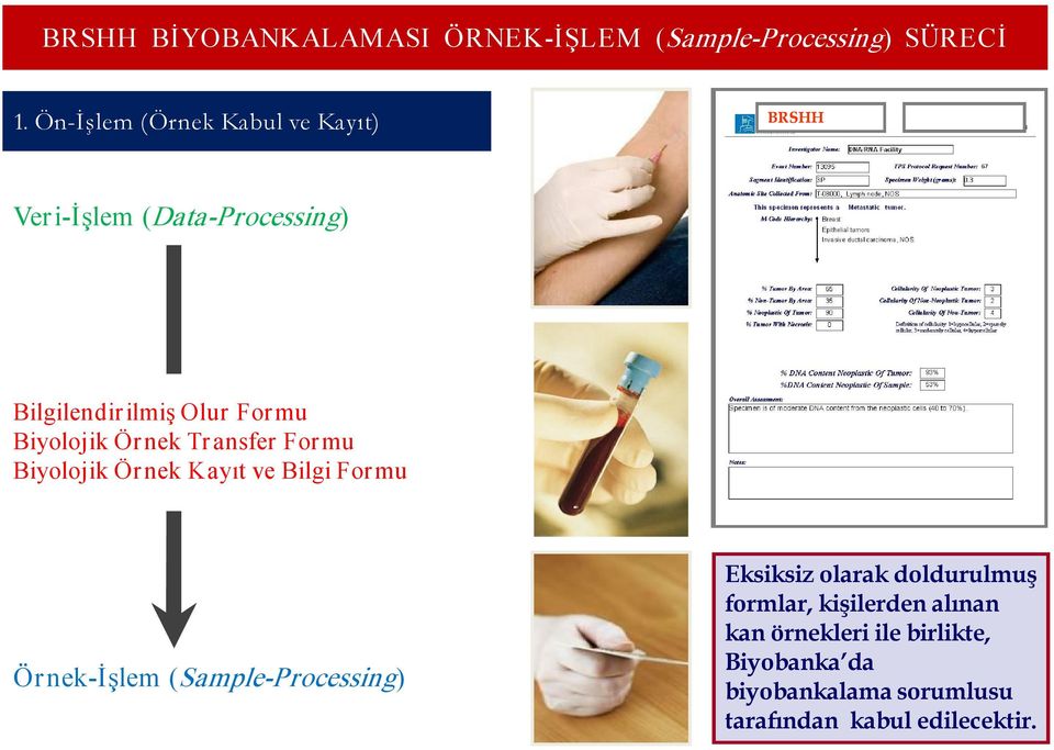 İşlem (Sample Processing) Eksiksiz olarak doldurulmuş formlar, kişilerden alınan kan