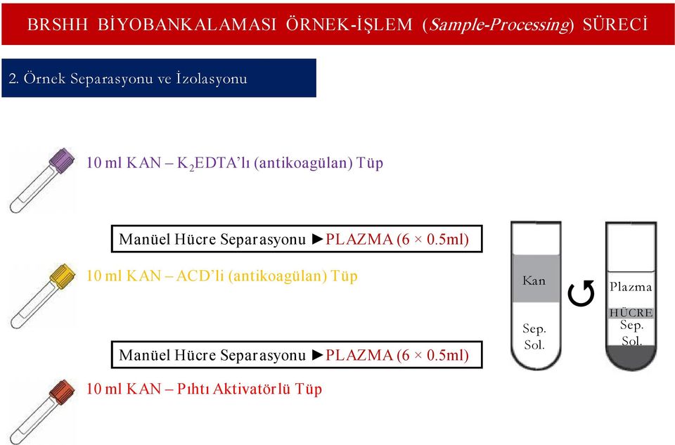 5ml) 10 ml KAN ACD li 5ml) Kan Sep. Sol.