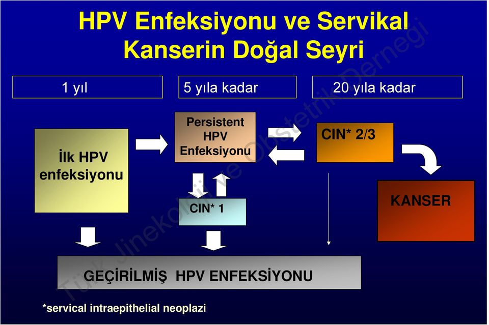 HPV Enfeksiyonu CIN* 1 GEÇİRİLMİŞ HPV ENFEKSİYONU