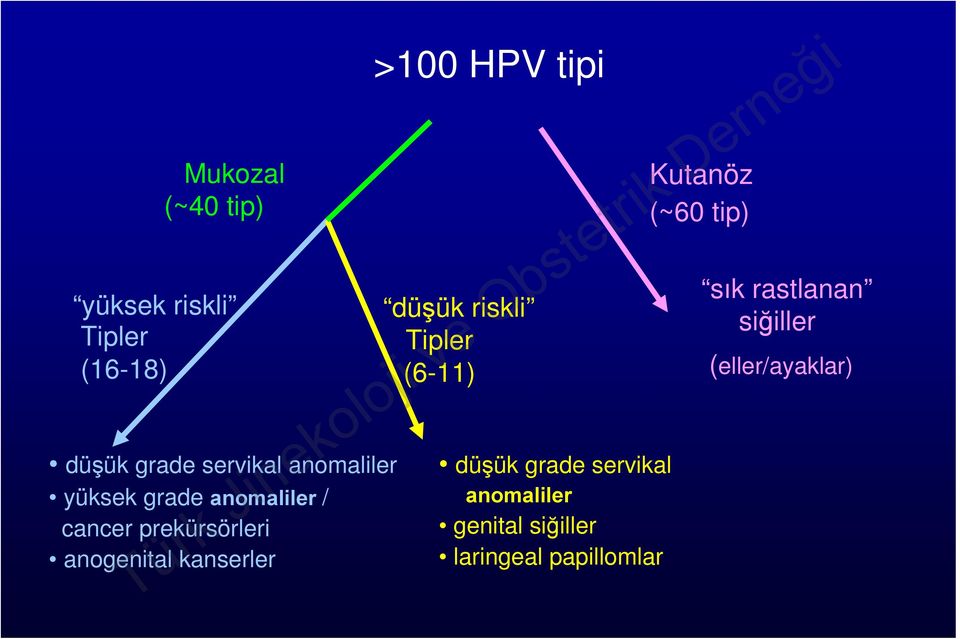 tipi düşük riskli Tipler (6-11) düşük grade servikal anomaliler genital