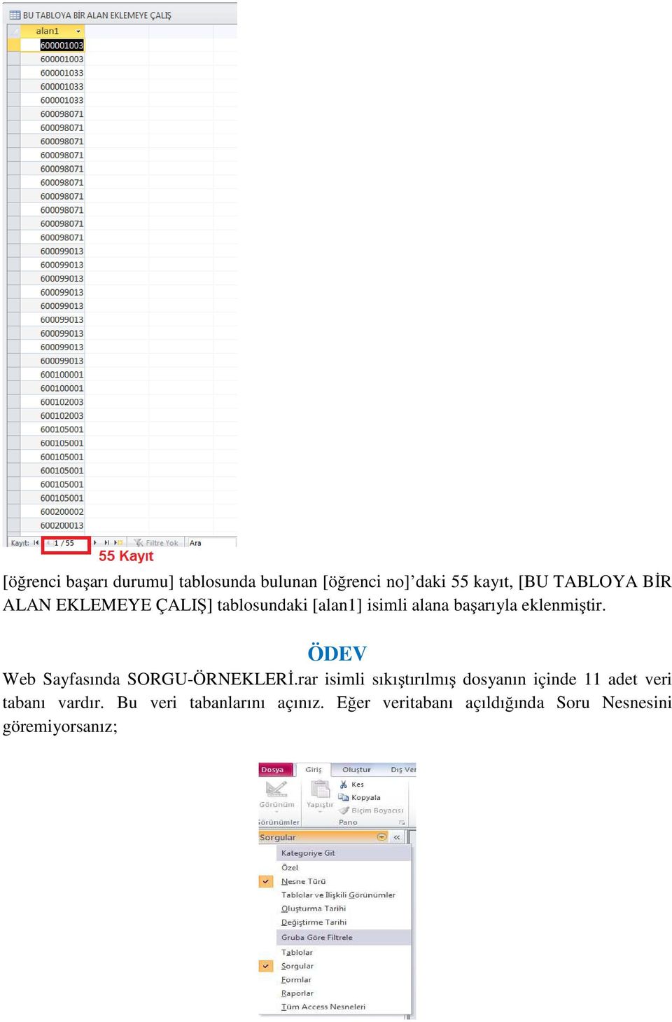 ÖDEV Web Sayfasında SORGU-ÖRNEKLERİ.