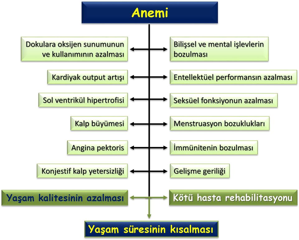 Seksüel fonksiyonun azalması Menstruasyon bozuklukları Angina pektoris Konjestif kalp yetersizliği