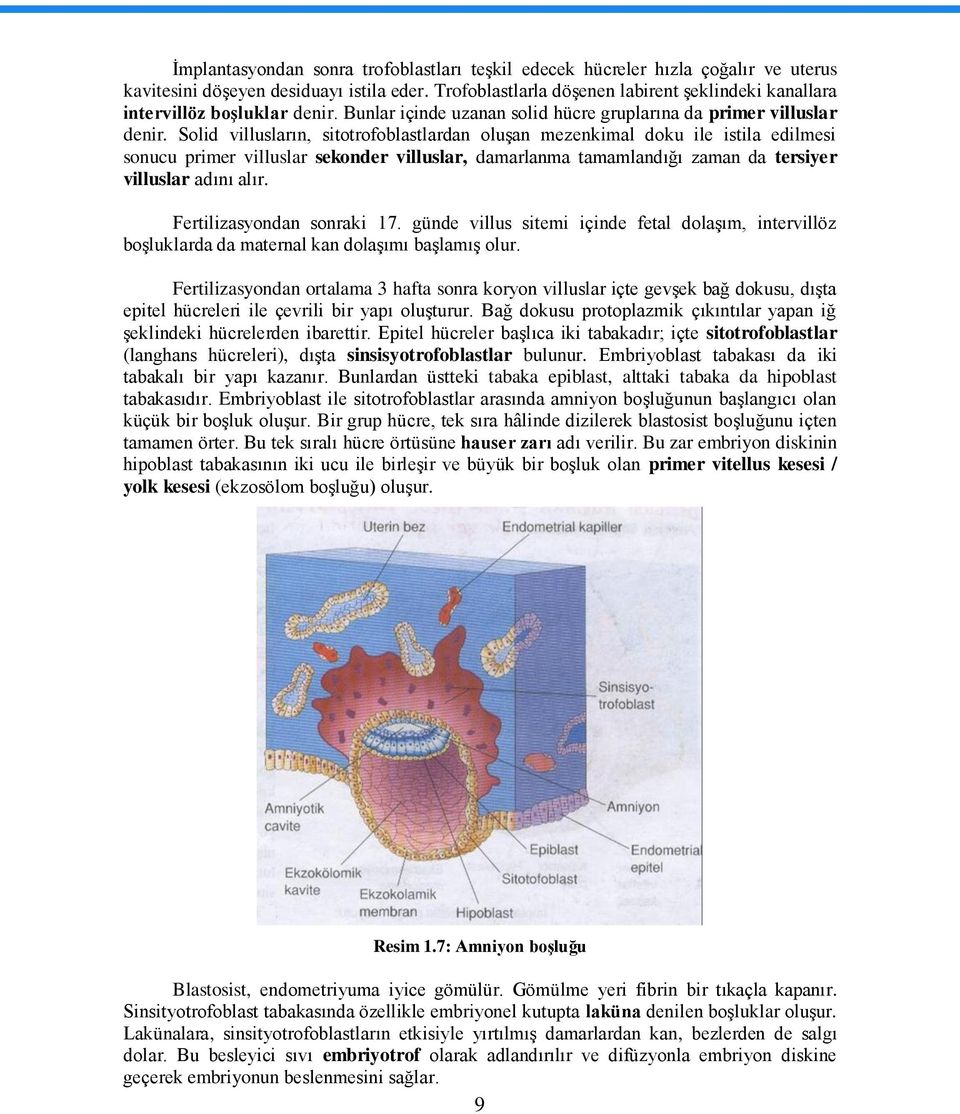 Solid villusların, sitotrofoblastlardan oluģan mezenkimal doku ile istila edilmesi sonucu primer villuslar sekonder villuslar, damarlanma tamamlandığı zaman da tersiyer villuslar adını alır.