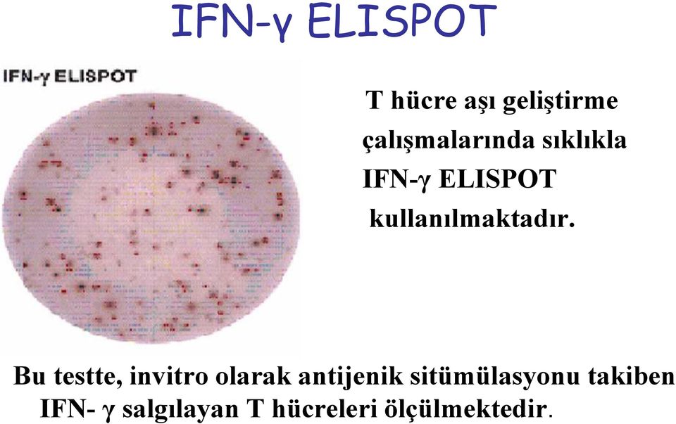 kullanılmaktadır.